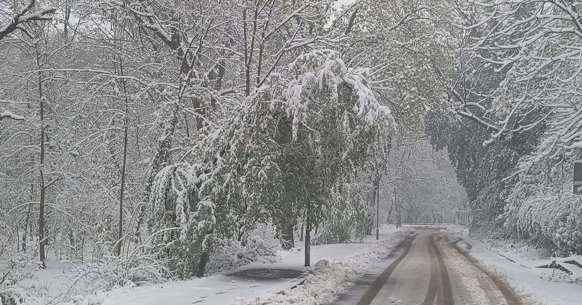 Sneg usred maja zatrpao srpsku planinu! Pogledajte kako se vozilo jedva probija kroz mećavu!
