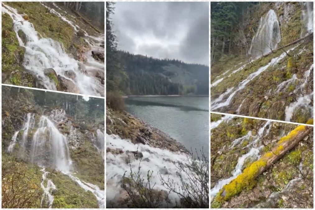 PRIRODNI FENOMEN Pukle čeline na Durmitoru, prizori ostavljaju bez daha (FOTO)