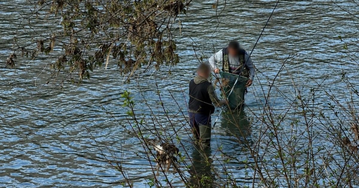 Tragedija kod Kraljeva: Pronađeno telo nestalog ribolovca u Zapadnoj Moravi