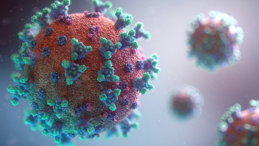 TASS: Hantavirus se širi u ukrajinskim oružanim snagama zbog glodara i loših uslova