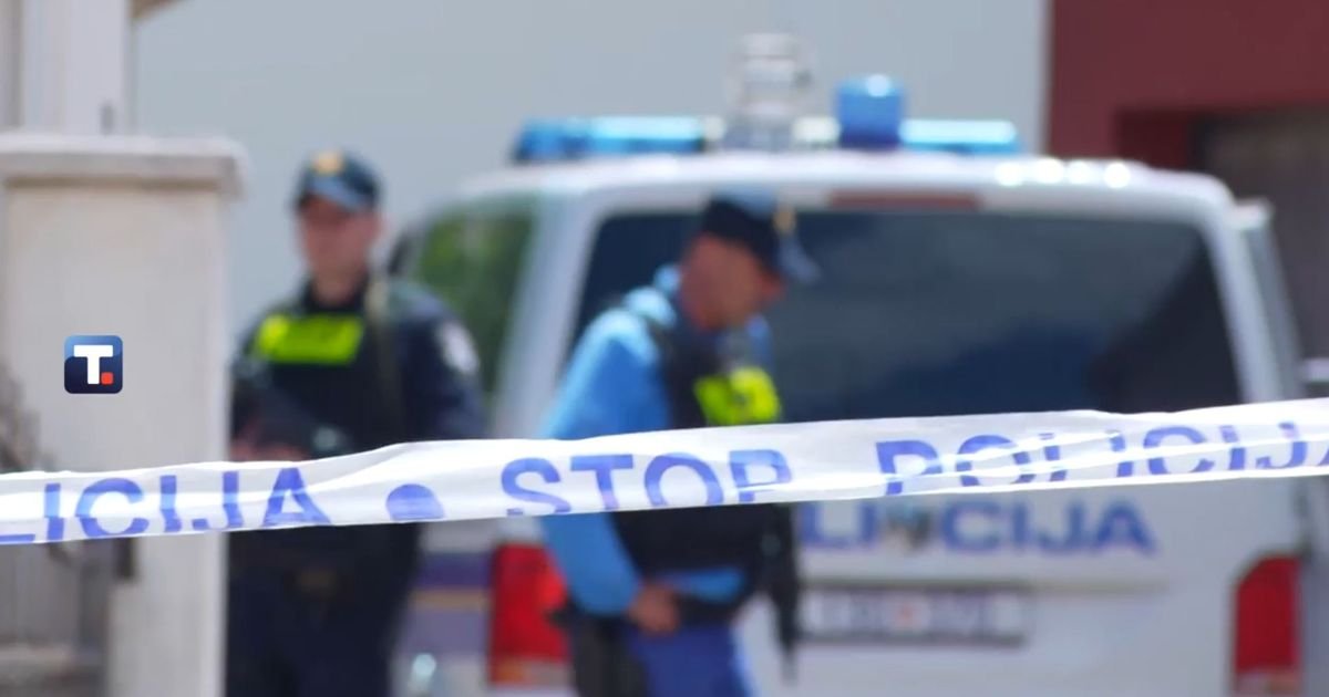 Aleksić se skrivao u žbunju kod pečenjare? Novi detalji hapšenja Lukinog ubice