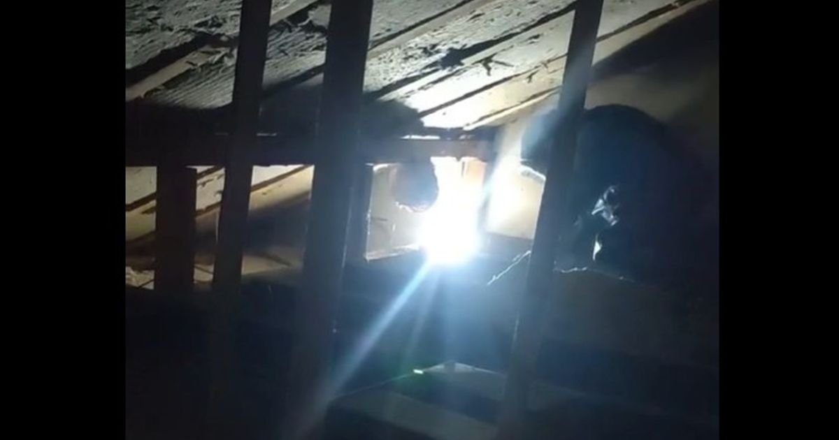 Prizor kao iz HOROR FILMA, Vladica morao da obuče specijalno odelo: Našao STRAHOTU na tavanu kuće u Srbiji!
