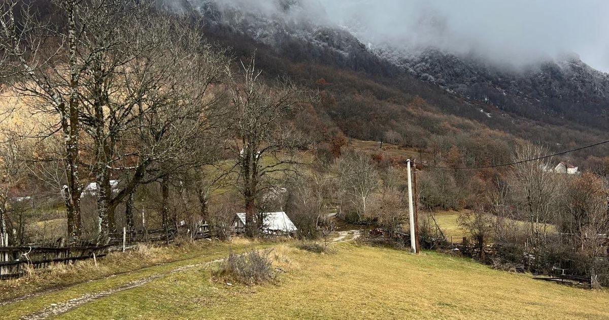 DRAMA KOD PLUŽINA Šumska zver prišla kućama, a zatim krenula na rendžere: Morali su da pucaju