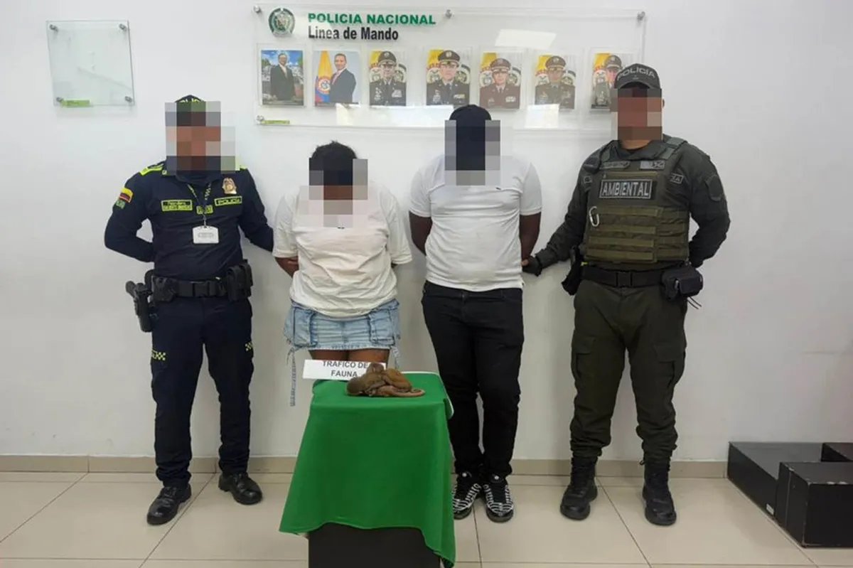 FOTO, VIDEO Par pokušao da prošvercuje bebe majmune u donjem vešu