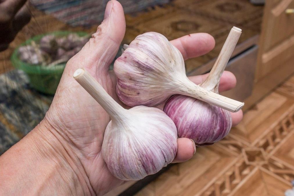 Kako da uklonite miris belog luka sa šaka: Majstori kulinarstva uvek koriste ovaj trik, radi bez greške