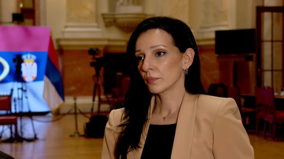 Tepić: Evropske preporuke o izbornim uslovima nisu na dnevnom redu Skupštine Srbije
