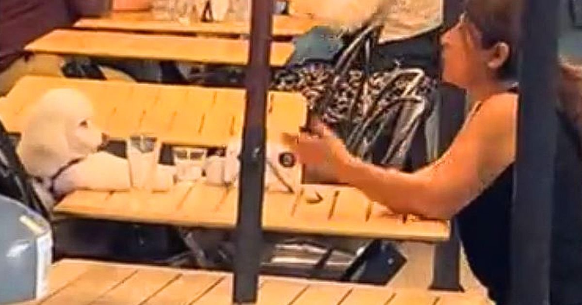 Prolaznik slučajno snimio NAJBOLJI VIDEO U ISTORIJI: Žena i njen pas iz kafića u Buenos Ajresu očarali svet