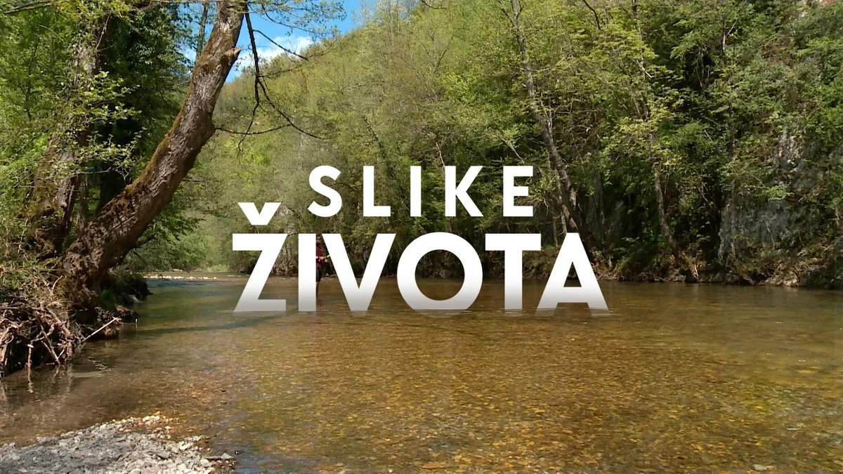 Slike života: Rzav leči, nedelja u 15.15