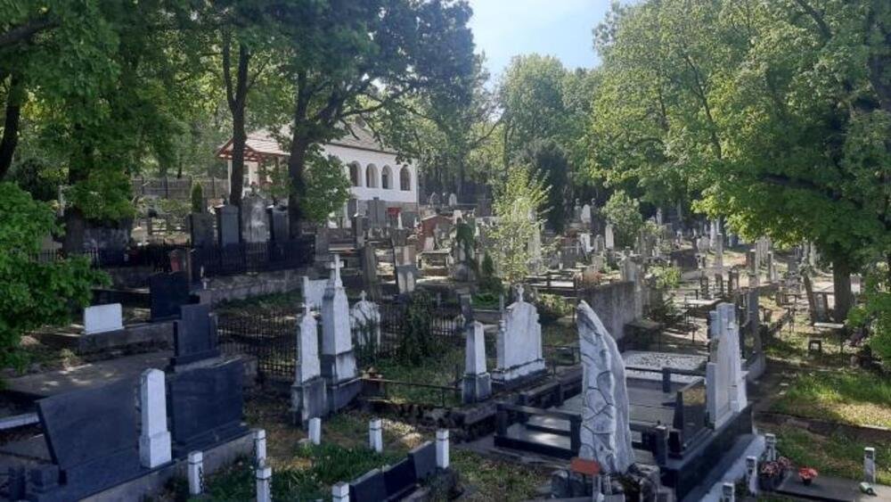 OTKRIVENA NEVEROVATNA STVAR NA GROBLJU KOD ALEKSINCA: Kopali oko Ljubišinog groba pa nabasali na... (FOTO)