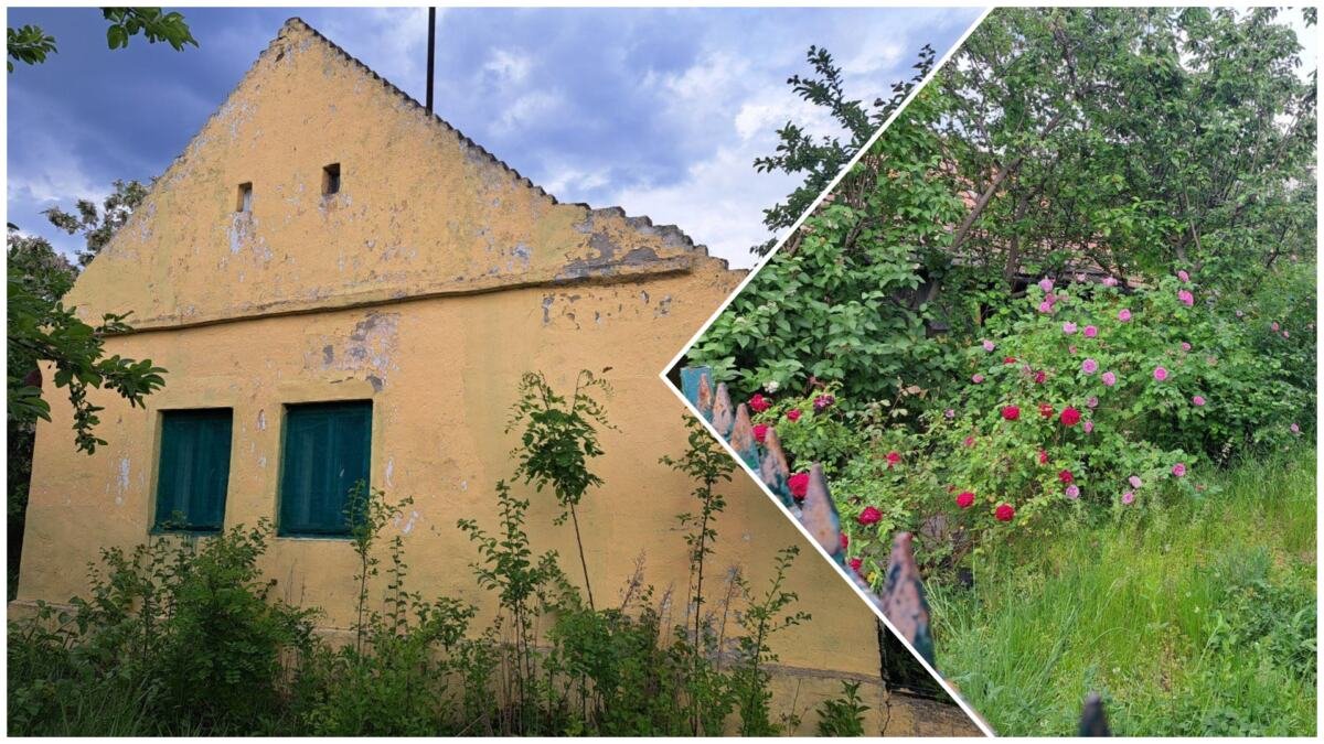 Kuća sa 16 ari placa za samo 7.000€! Smeštena u oazi zelenila i ruža blizu Zrenjanina, ima struju i vodu, a u selu ima sve! (FOTO)