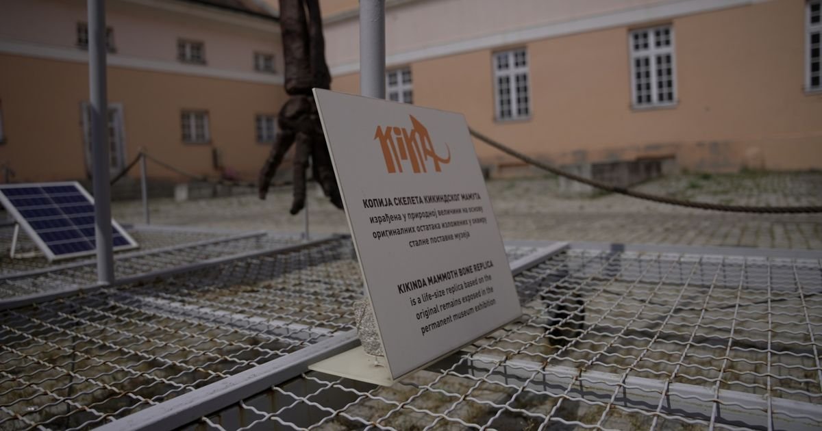 Jedinstveno otkriće dogodilo se pre 30 godina u Srbiji: Danas ovo biće privlači veliku pažnju!