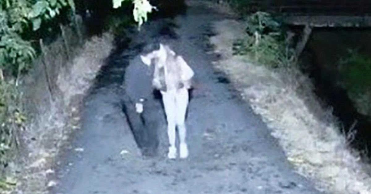 "Jedva je hodao i sedeo, nisam htela dete sa njim" Sofija šokirala ukućane: Iznela gnusne detalje o Danetu