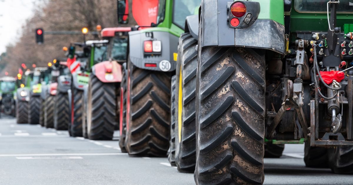 Traktori vredni pravo bogatstvo: Farmer prodaje delo svog života