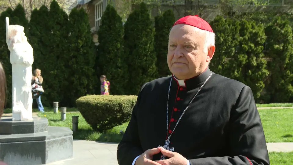 Kardinal Nemet: Mladi u Evropi, poput onih u Srbiji i Mađarskoj, nepogrešivo osete nepravdu i korupciju