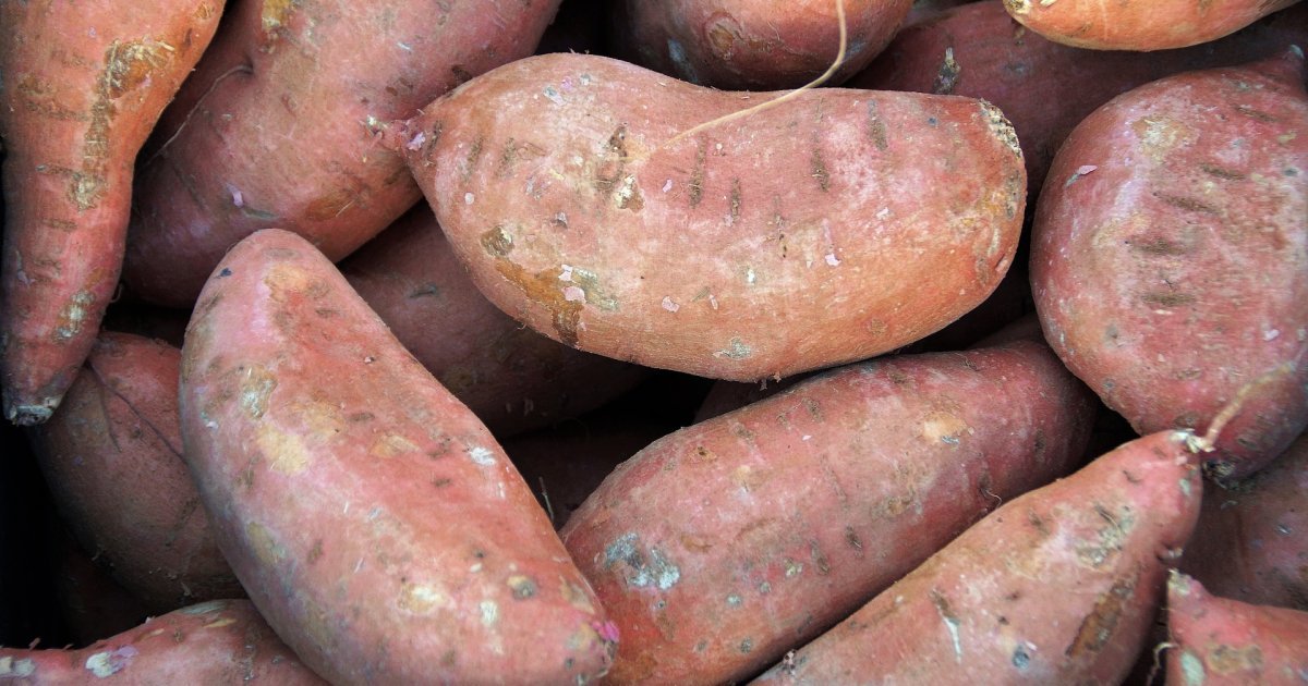 Brašno od batata je novi hit među ženama koje paze na ishranu: Ima više vlakana i prirodnu slatkoću