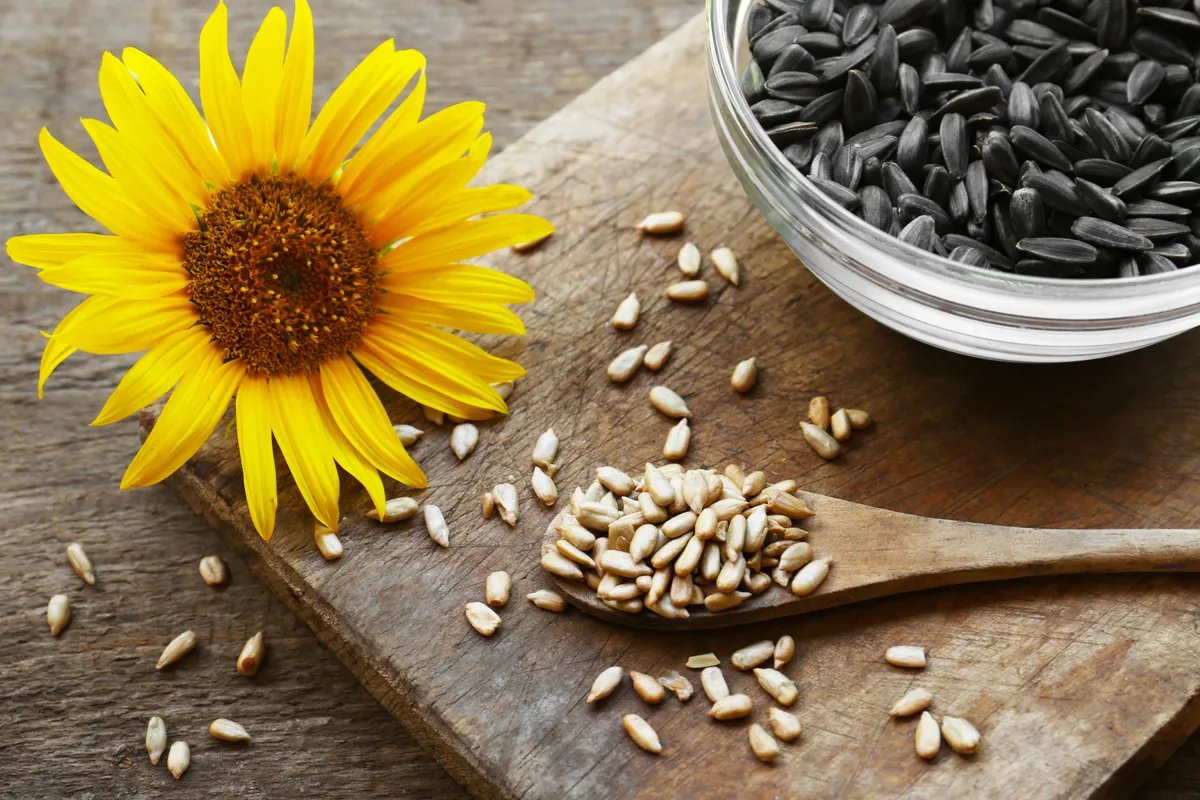 Jedna šaka dnevno: Nutricionisti otkrivaju prednosti semenki suncokreta