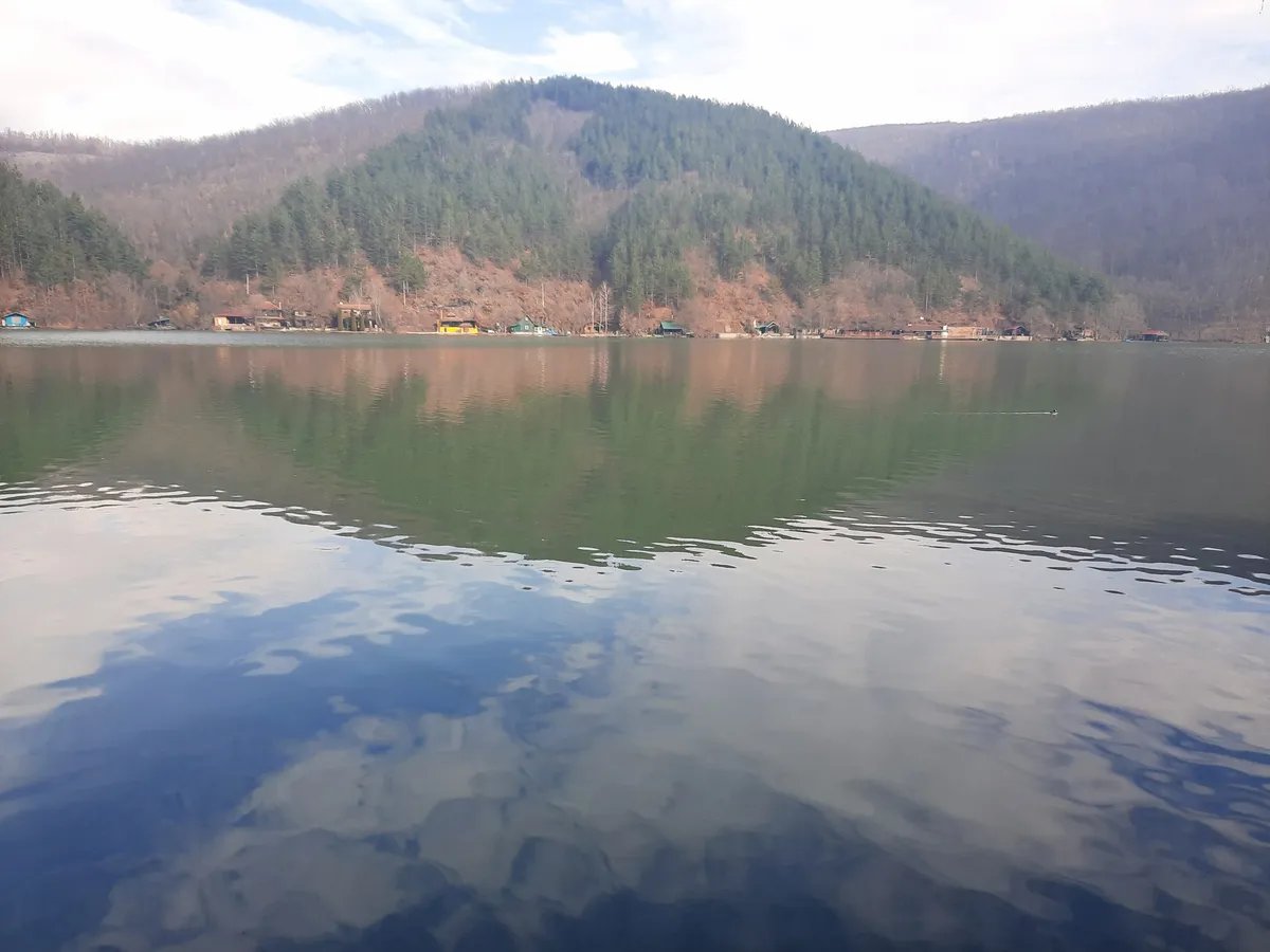 "U jezeru Međuvršje velika količina uginule ribe, nadležni da reaguju"