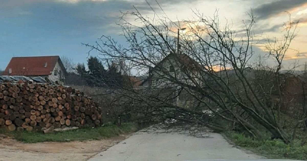 Upaljen alarm! Srbiji prete olujni vetrovi od 70km/h, mogu čupati drveće! U ovom delu biće najjači udari