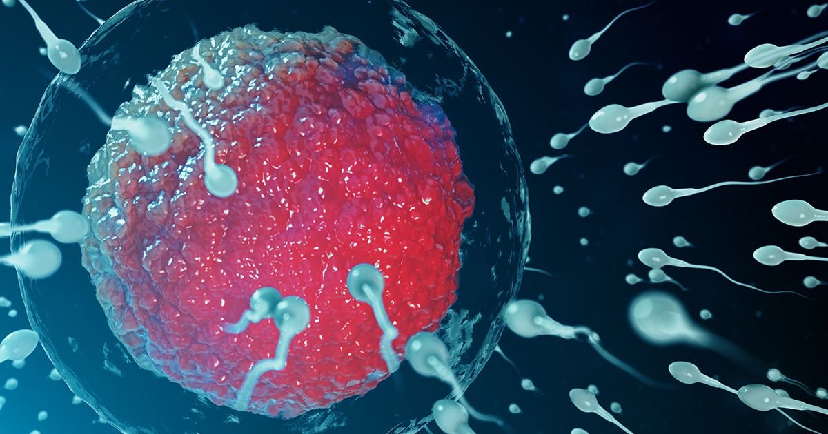 Da li sauna zaista smanjuje broj spermatozoida? Stručnjaci dali jasan odgovor