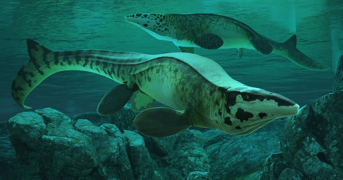 Novi ti-reks izronio iz teksaskih fosila: Terorisao mora i bio dvostruko duži od najvećih velikih belih ajkula