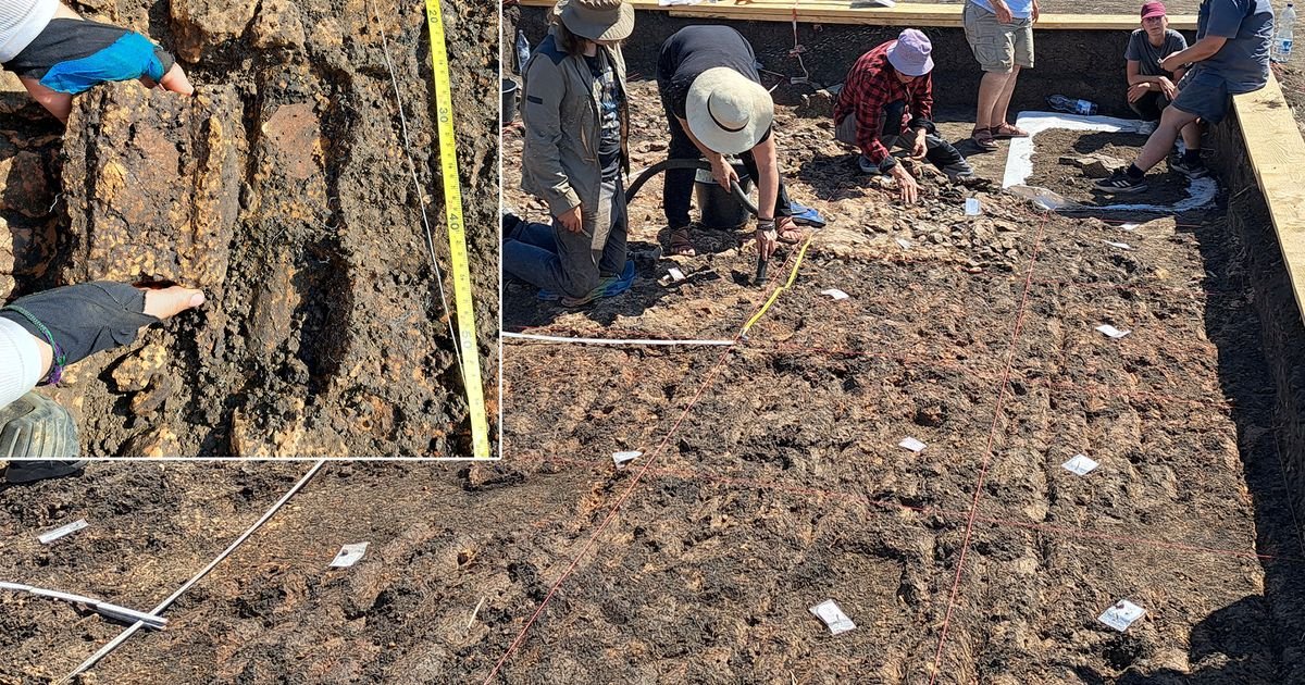 Zagonetna MEGASTRUKTURA iskopana u okrugu Botošani: Objekat je izgrađen na specifičan način