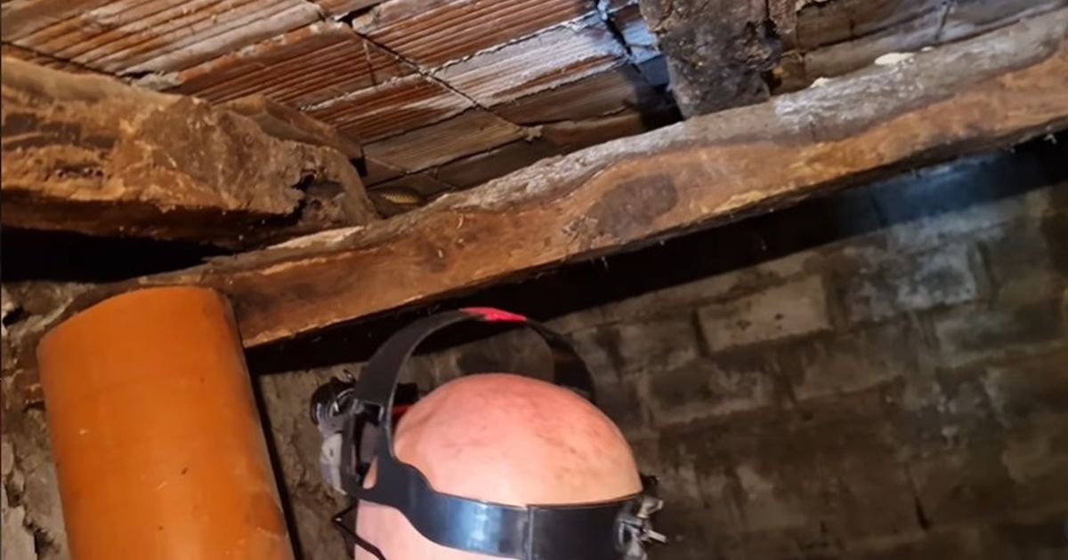 Domaćin Sloba pekao rakiju, nije ni slutio KO ga vreba između starih greda kuće: Sve uhvaćeno na SNIMKU