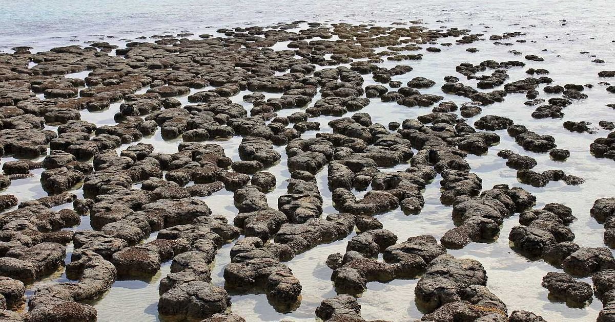 Drevni krateri nastali usled udara asteroida možda su podstakli razvoj života koji proizvodi kiseonik