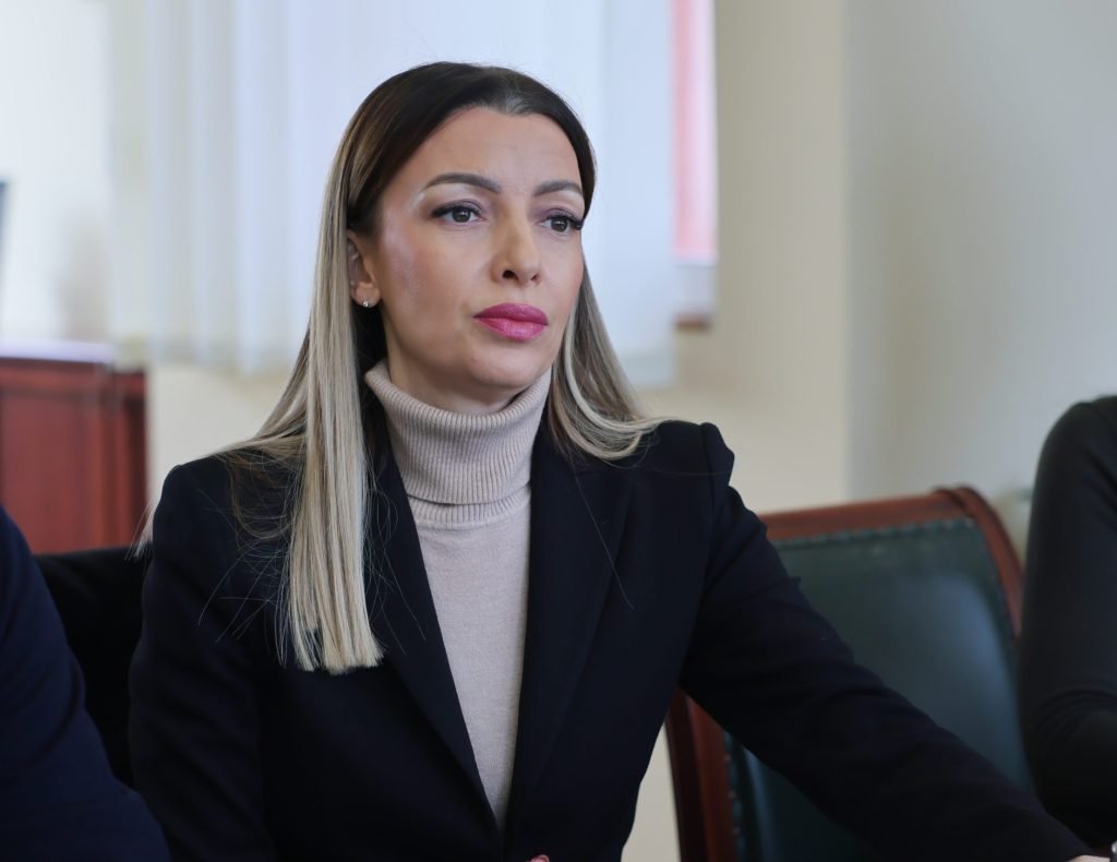 Mesarović i Tripunovski o unapređenju ekonomske saradnje Srbije i Severne Makedonije