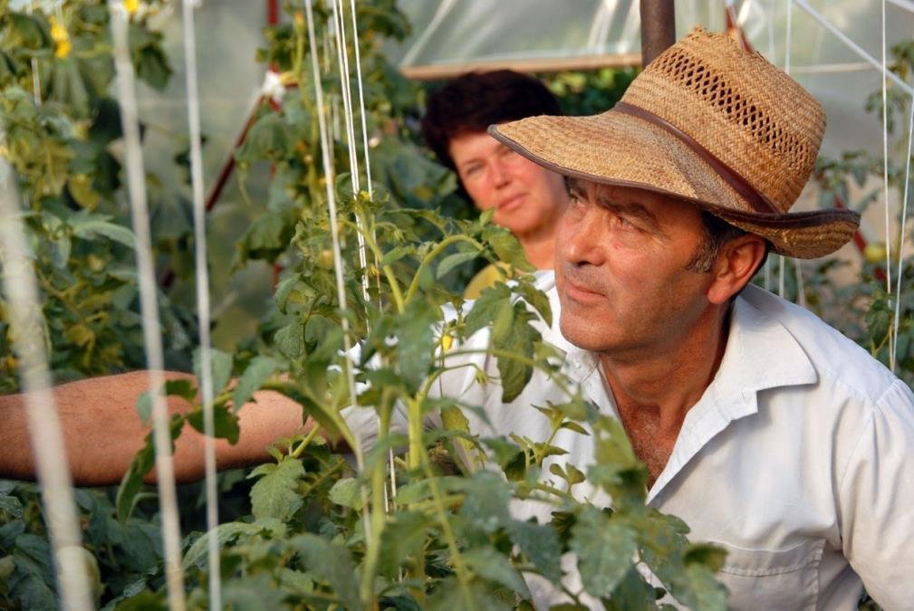 Maj je idealan za sadnju ovih šest vrsta povrća: Evo šta je sve potrebno da biste imali što više plodova
