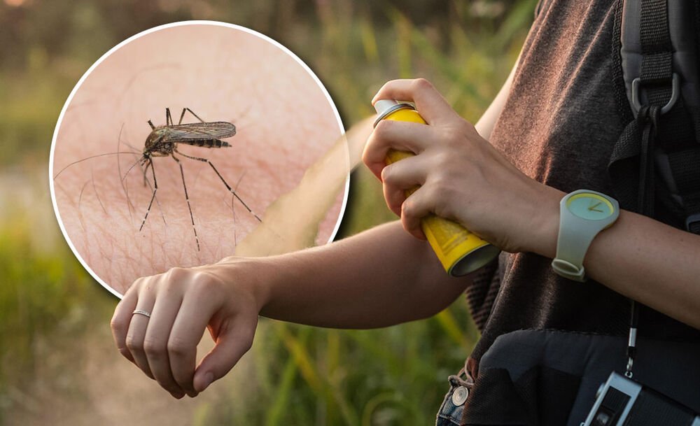 Ovih 7 biljaka teraju komarce i insekte: Priroda u borbi protiv napornih krvopija