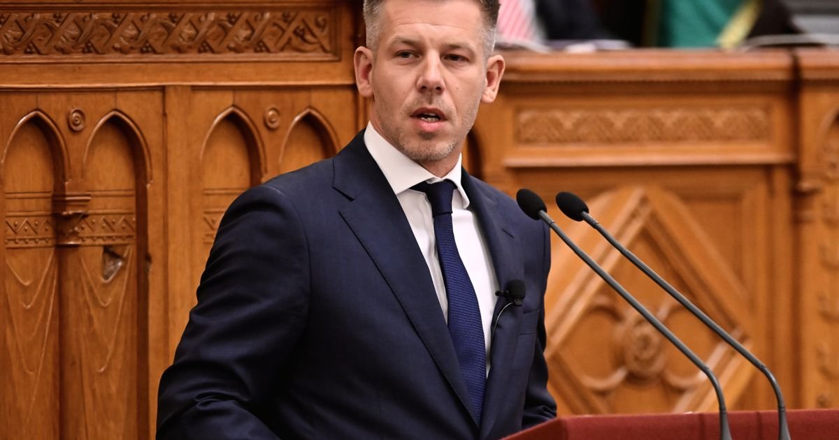 Peter Mađar kreše plate ministrima, gradonačelnicima, poslanicima...: Evo šta je rekao za svoju