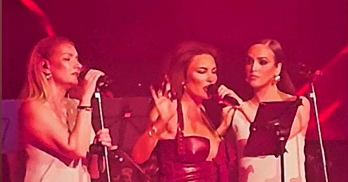 Senida zapevala OVAJ Stojin hit na koncertu, pa bacila publiku u trans: Mreže gore "Treba nam njihov duet"