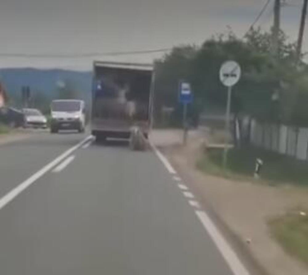 OVCE ISPADAJU IZ KAMIONA U POKRETU, LJUDI VAN SEBE OD PRIZORA: Uznemirujuća drama na putu kod Kruševca! (VIDEO)