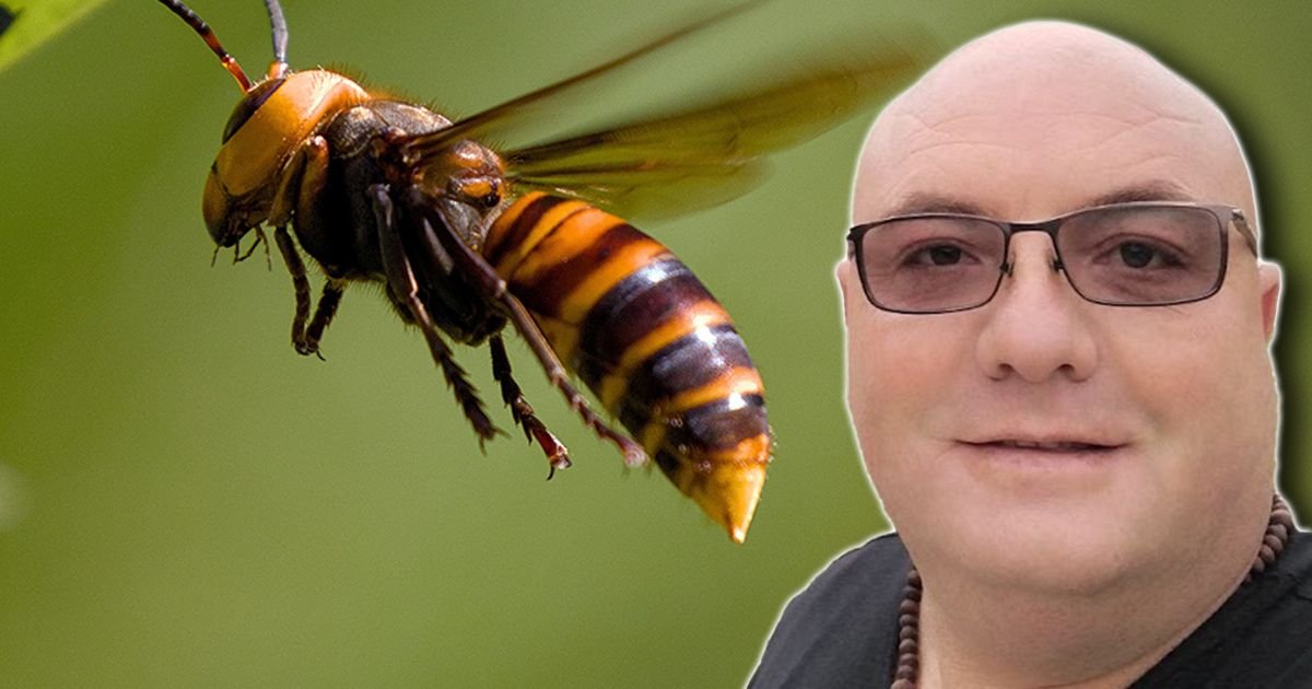Stršljeni zbog ovog poteza još AGRESIVNIJI: Vladica objasnio kako da SAČUVATE GLAVU a ni to nije uvek dovoljno