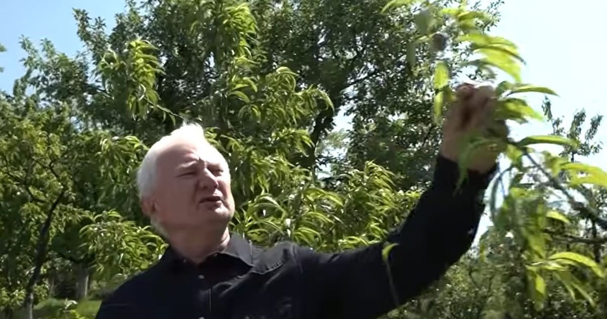 Zoran u dvorištu čuva pravo malo zlato: Drug mu doneo iz Kanade, a on ga zakopao, pa stvorio ČUDO