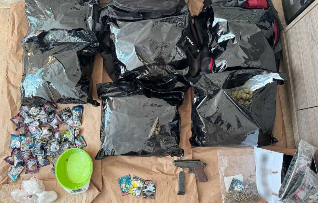 HAPŠENJE U NOVOM SADU: Policija upala u dva stana i zaplenila drogu i oružje (foto)