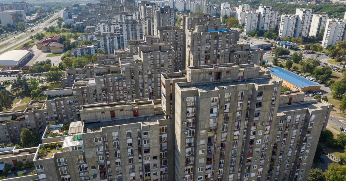 Šokantan prizor na Novom Beogradu: Snimljeno stvorenje koje niko nije očekivao u Bloku 45!