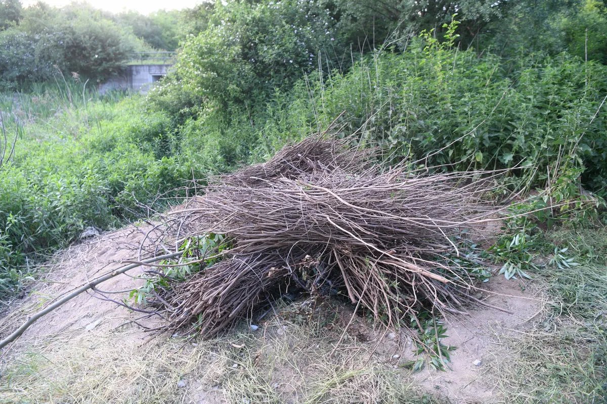 OTKRIVAMO Šta je pokazala obdukcija tela pronađenog u buretu: Nešovićevo telo izrešetano, preminuo tek posle dva sata od prvog upucavanja u restoranu