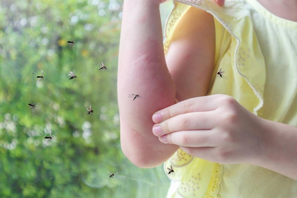 Kako se rešiti komaraca na prirodan način? Trikovi koji ih brzo teraju iz doma i dvorišta bez hemije