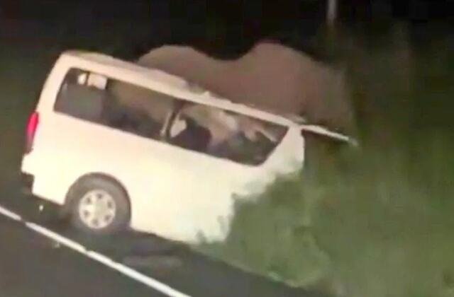 POGINULA TRI POREZNIKA! Vozilo naletelo na slona u Ugandi! (VIDEO)