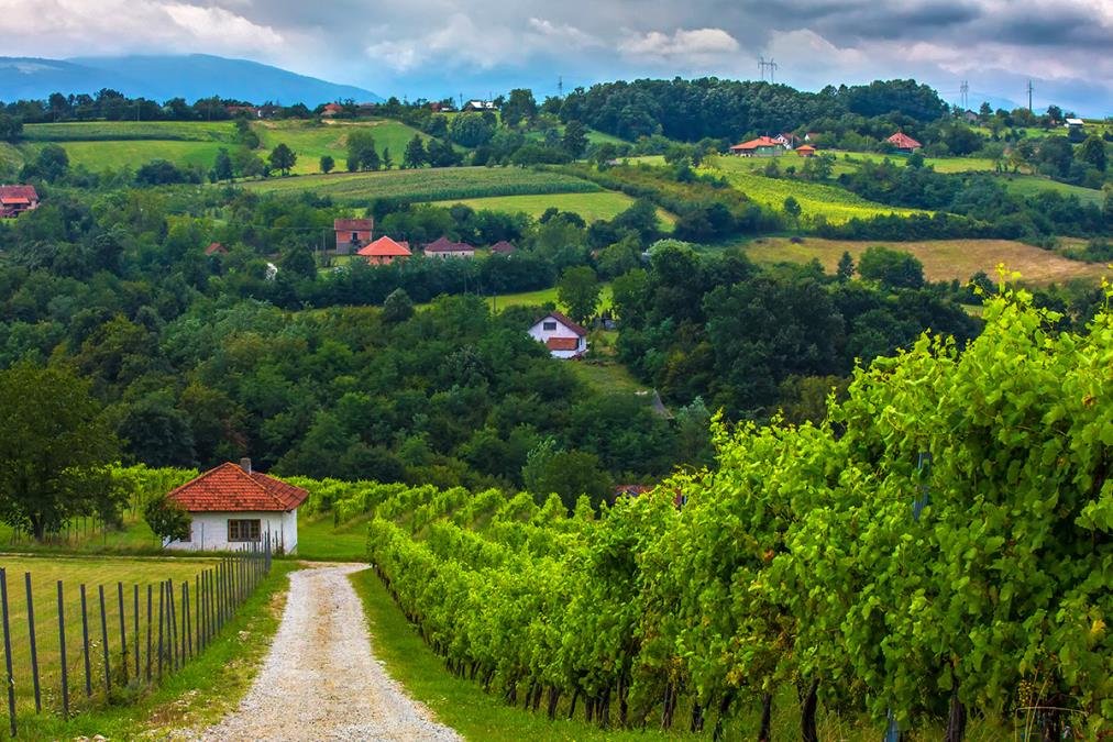 Nećete verovati kako se zovu neka srpska sela: Ovo su najsmešnija imena zbog kojih meštani crvene, a poreklo iznenađuje