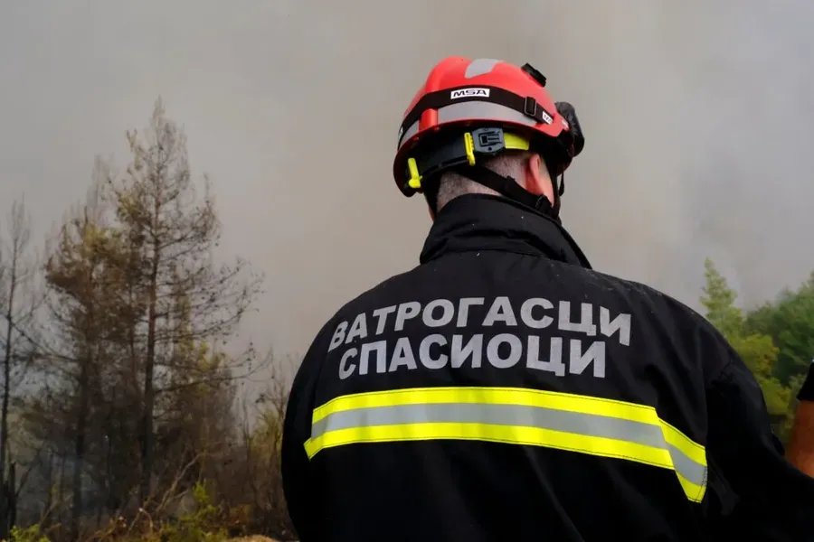 Na Kalemegdanu goreli trava i nisko rastinje