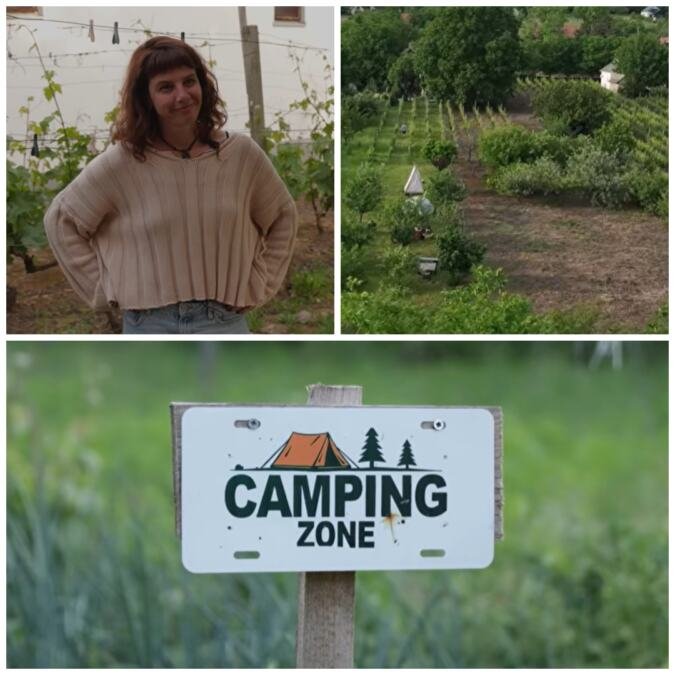Aleksandra kupila imanje za 17.000 evra i napravila kamp: Zamenila Gvatemalu za Slankamen, a sada joj u vinograd dolaze Nemci i Francuzi