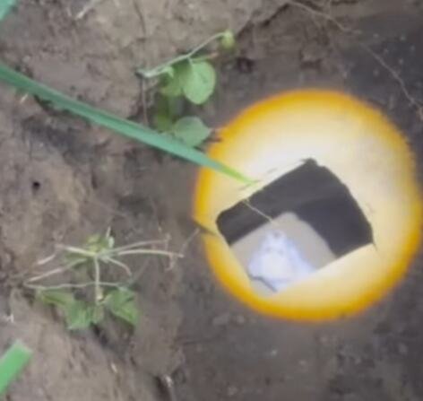 HEROJI ZA SVE - BEZ OBZIRA NA VELIČINU I OBLIK! Vatrogasci u Novom Sadu izvukli psa iz septičke jame: Spasili ga u poslednjem trenutku (VIDEO)