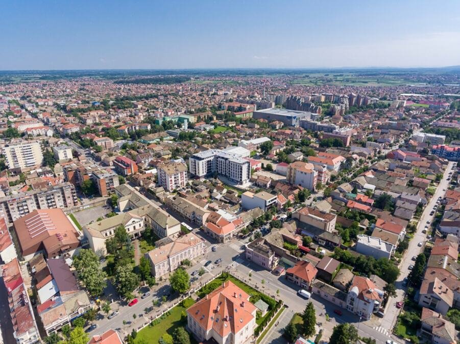 Horor u centru grada na zapadu Srbije: Jezive gamadi mile po fasadama i trotoarima, ljudi uspaničeni FOTO