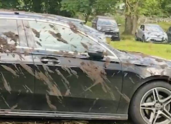 GORE DRUŠTVENE MREŽE ZBOG OVOG LUDILA! Besni PAOR isprskao životinjskim fekalijama LIMUZINE parkirane na njegovom imanju - Ovo je razlog (foto)