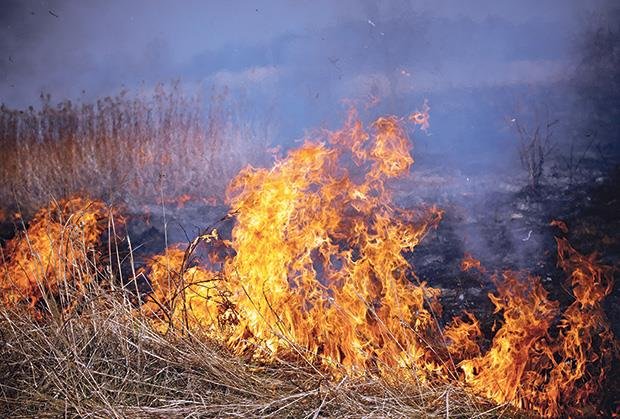 DRAMA NA DEDINJU: Zapaljena trava u Drajzerovoj ulici, brzom reakcijom nadležnih sprečena veća materijalna šteta (FOTO)