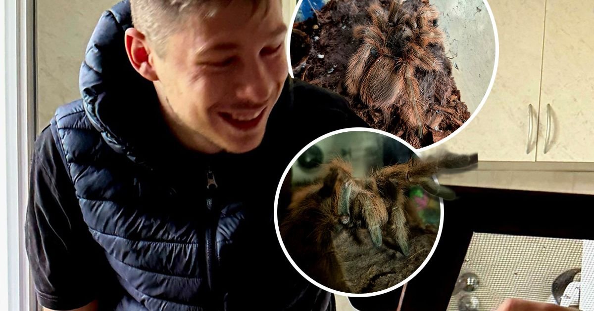 Lazara hteli da izbace iz kuće zbog ljubimice Anđe! Liči na dlakavi krompir, a iako je voli, OVO ni on ne sme