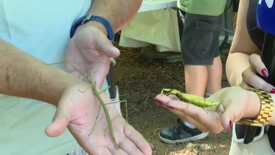 Šta sve očekuje posetioce Naučnog piknika na Banovom brdu