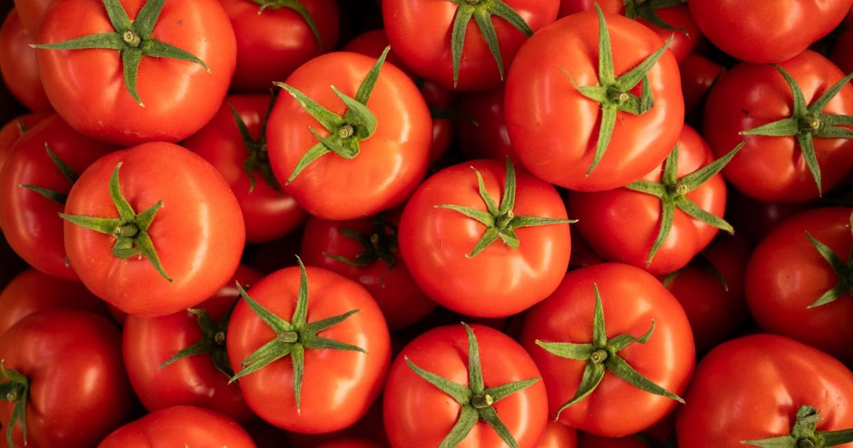 Jedan potez krajem maja pravi razliku između nekoliko plodova i pune gajbice paradajza: Većina ga preskoči
